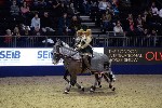 Quadrille - 00902